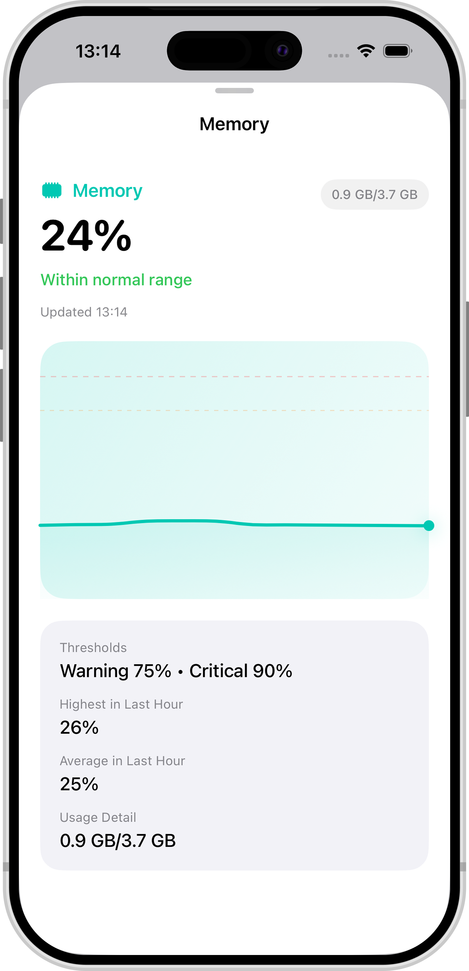 Open Pi memory monitoring screen on iPhone