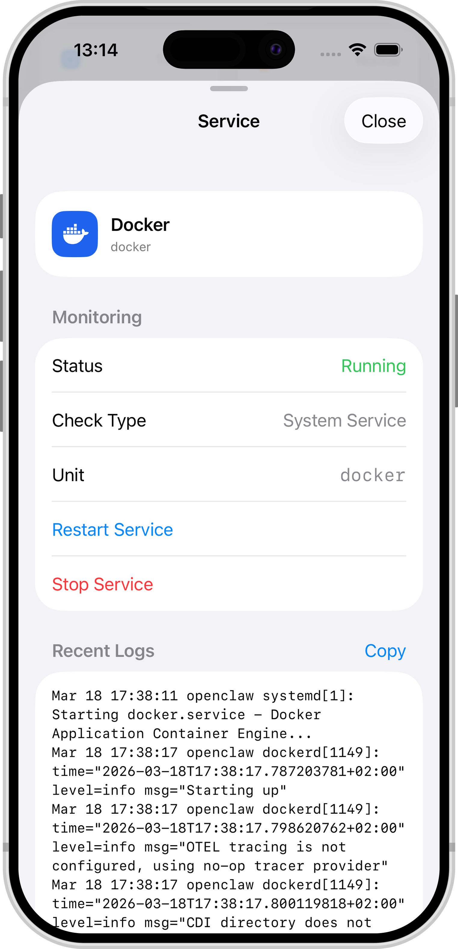 Open Pi systemd service detail on iPhone