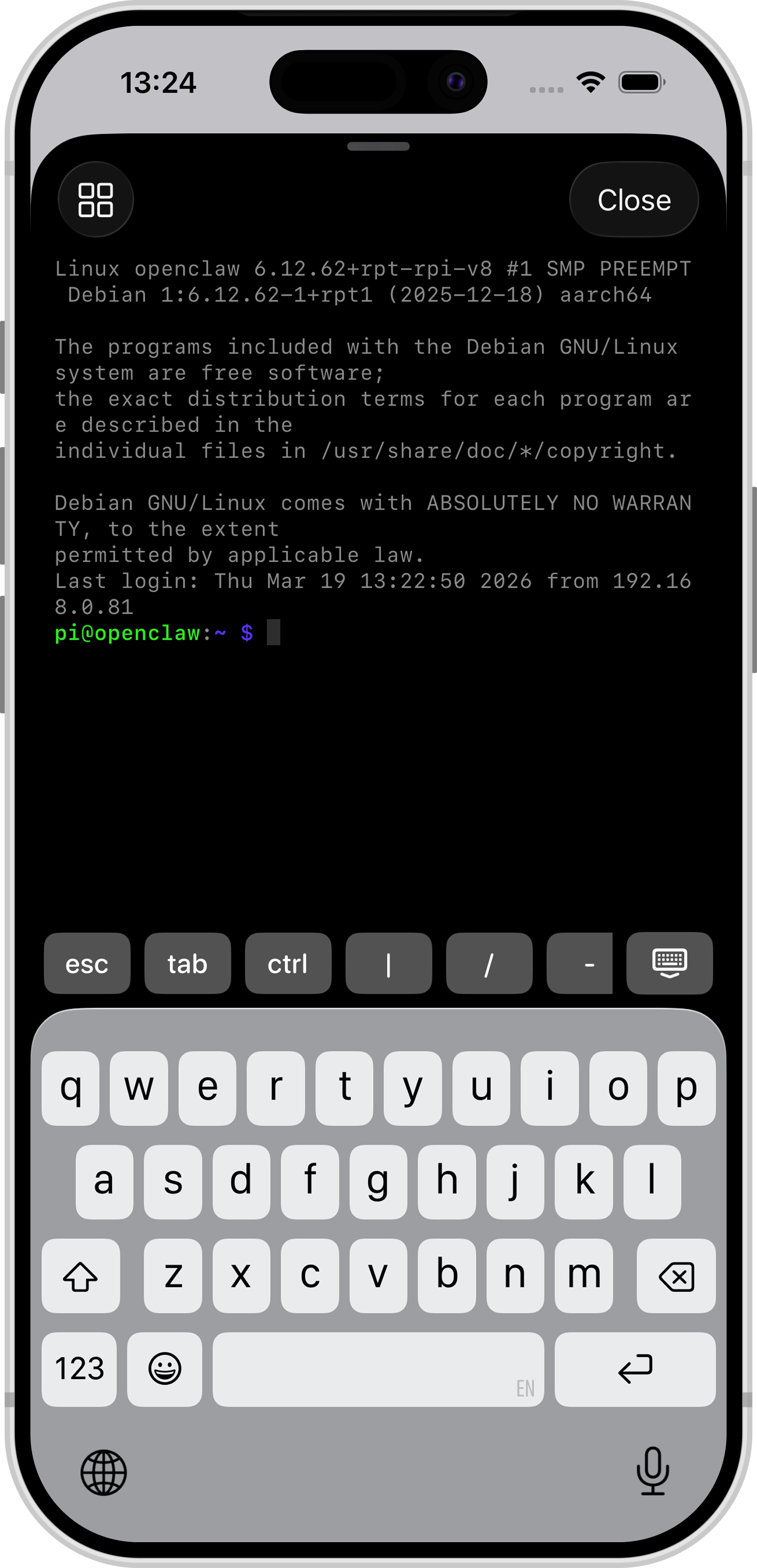Open Pi systemd service detail on iPhone
